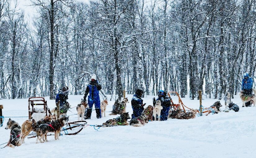 Reise nach Norwegen (Tromsö, Insel Senja)